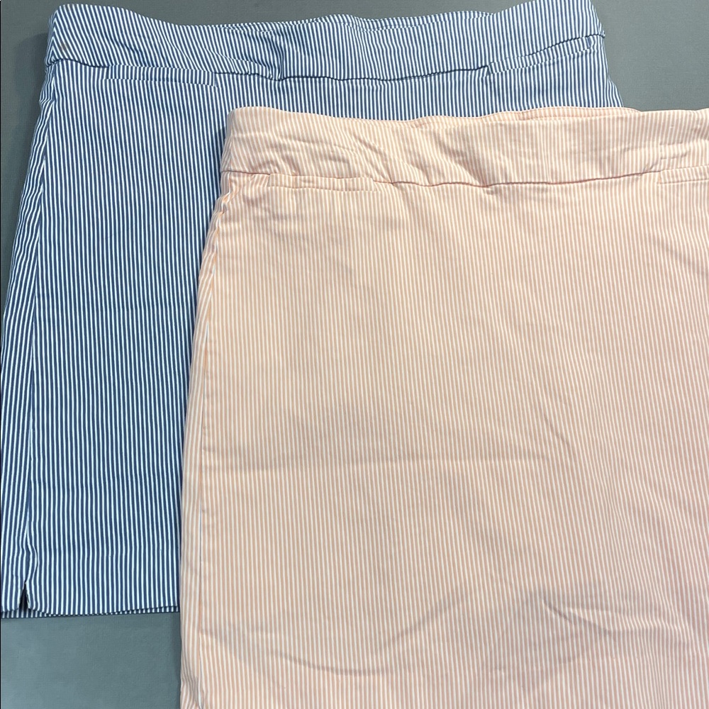 Two Coral Bay Size 16 Pink and Navy Striped Skorts